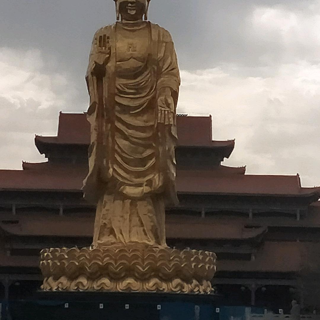 天道酬勤（有赞必回）请勿连赞