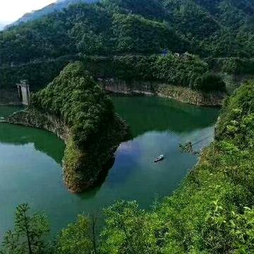 李尚往来（奉节大树）