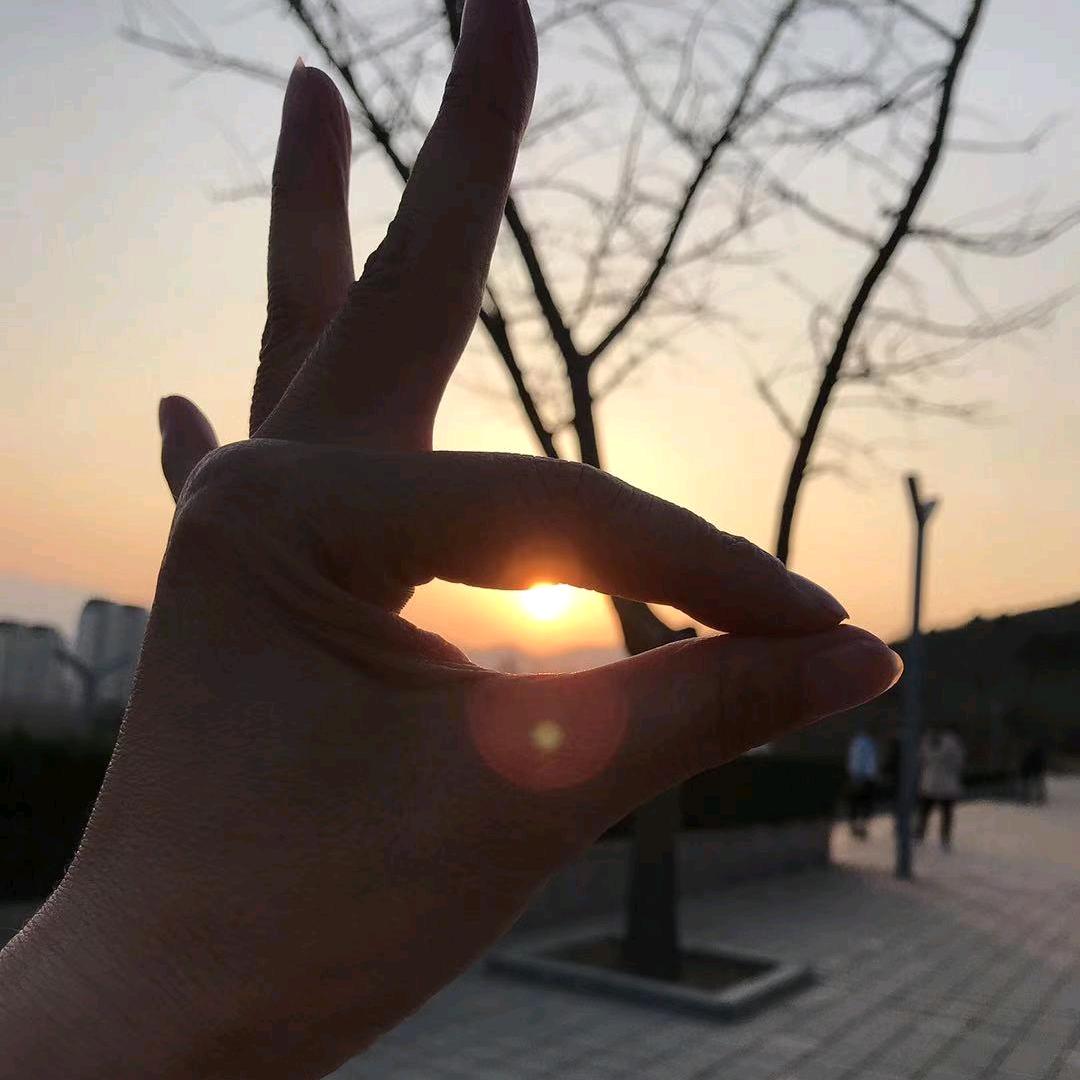 锦召