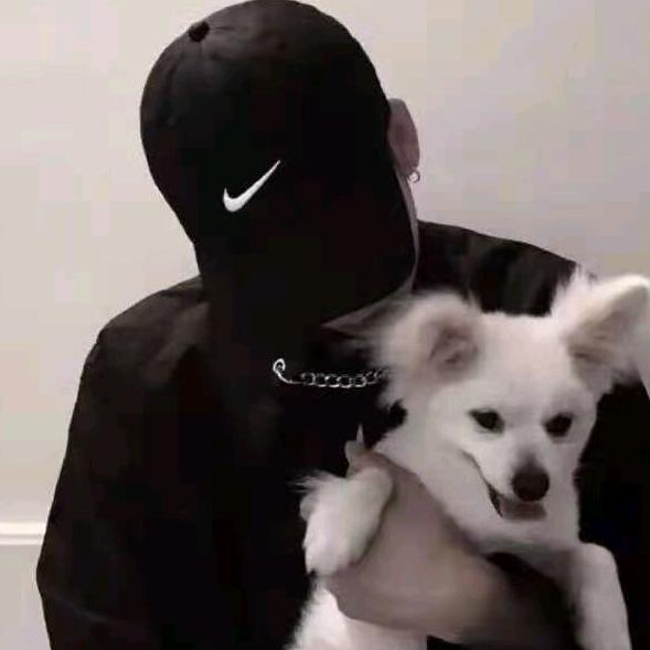 ᝰꪹ꪿ꪶ释єꪁ怀ꫛꫀꪝ