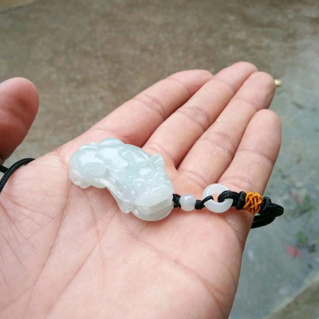 漫步枫林，