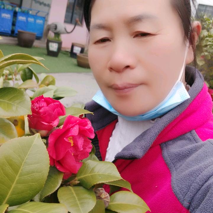 遇见你真好