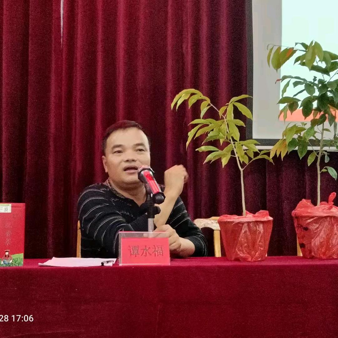 谭福哥小青柑沉香茶