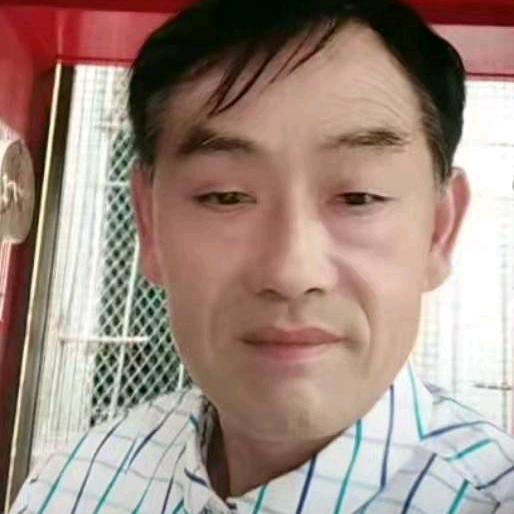 泗洪朱四
