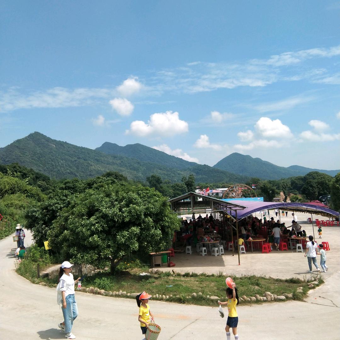 家乡美（礼貌回访）