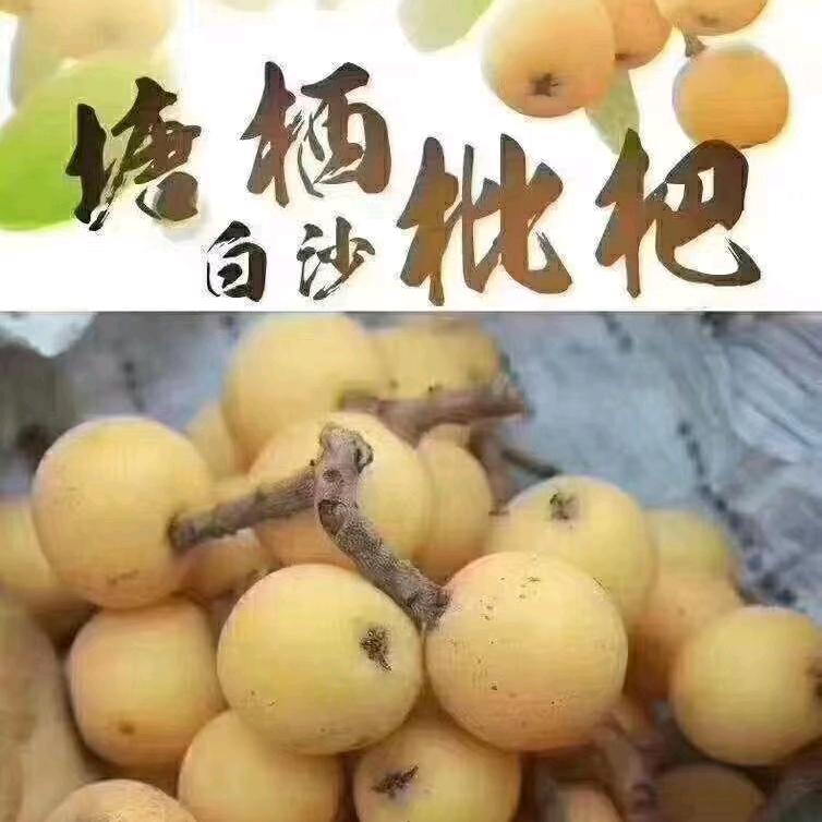 双胞胎姐妹花