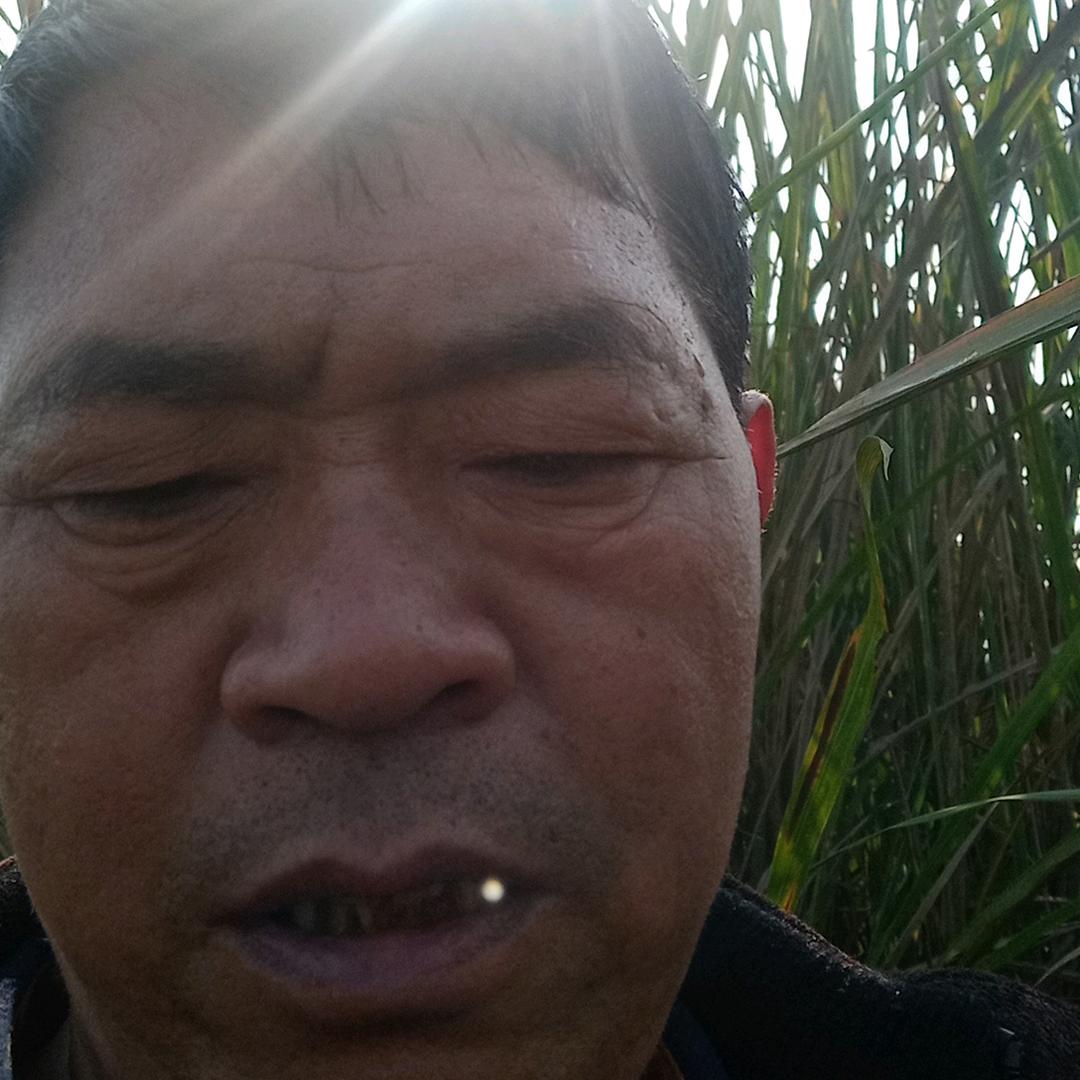 李枝洪