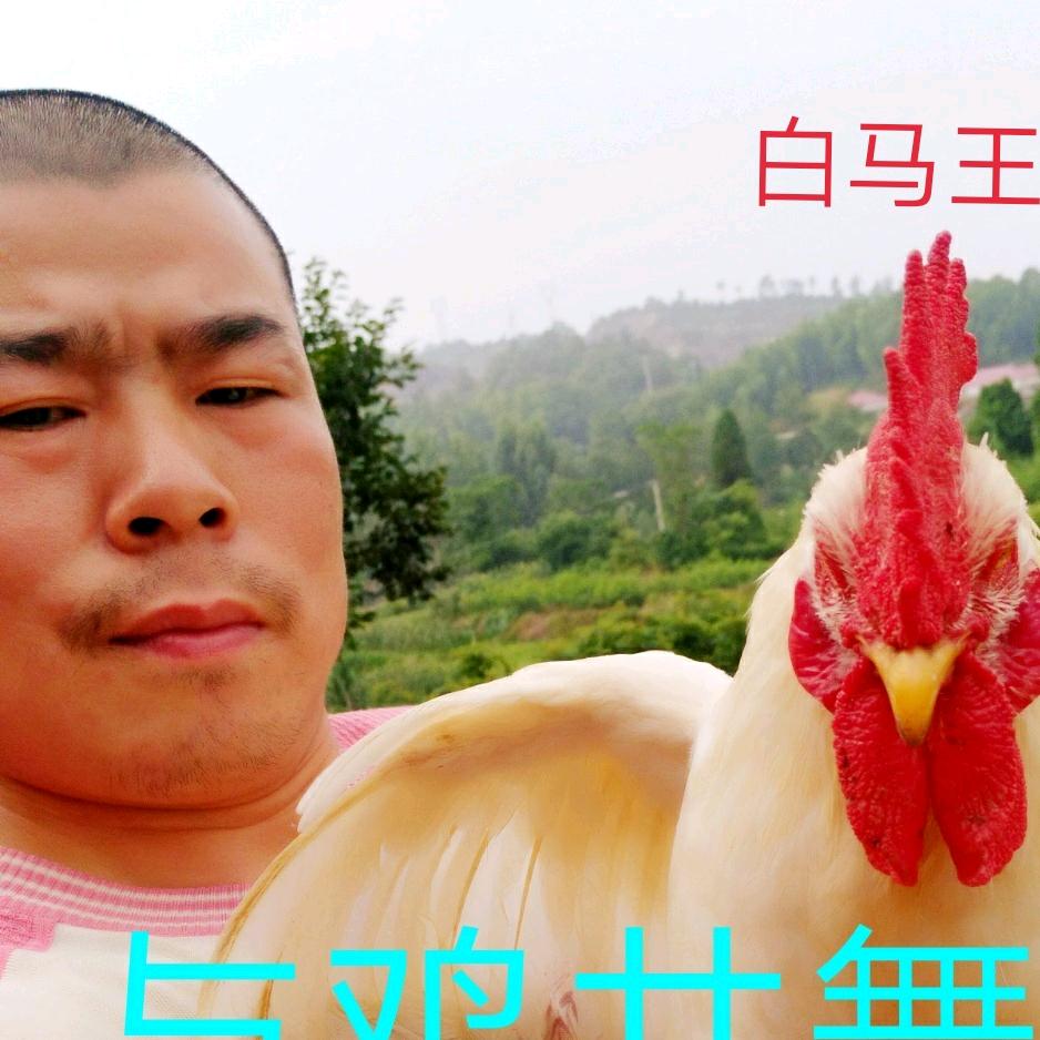 新化三中白子光土鸡土鸭