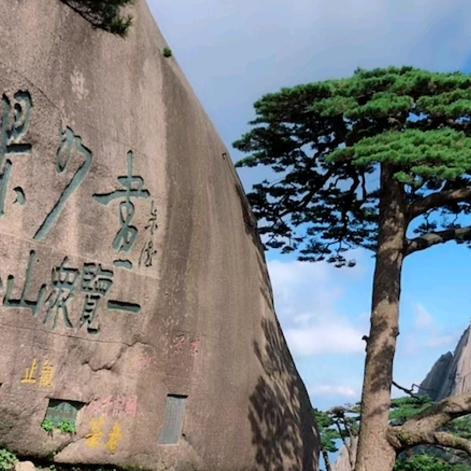 72年陈