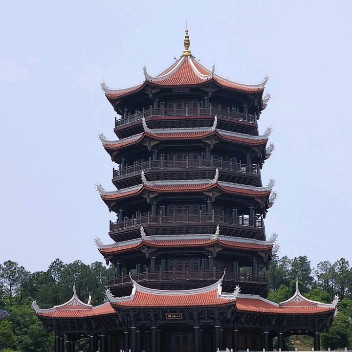 才才