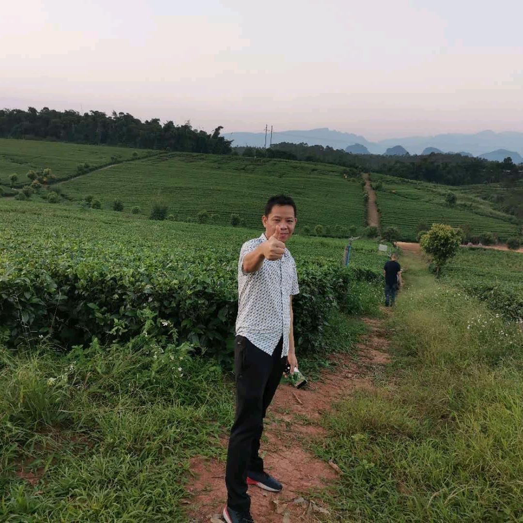 国峰茗茶