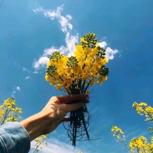 伊逊河畔的孩子