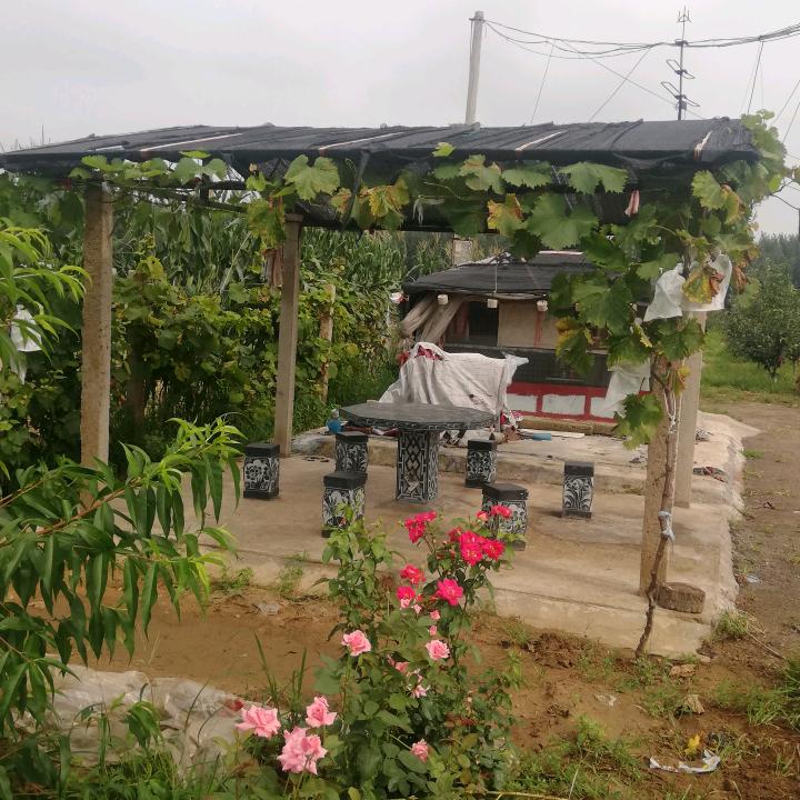 世外桃源百姓大舞台，想唱你就来