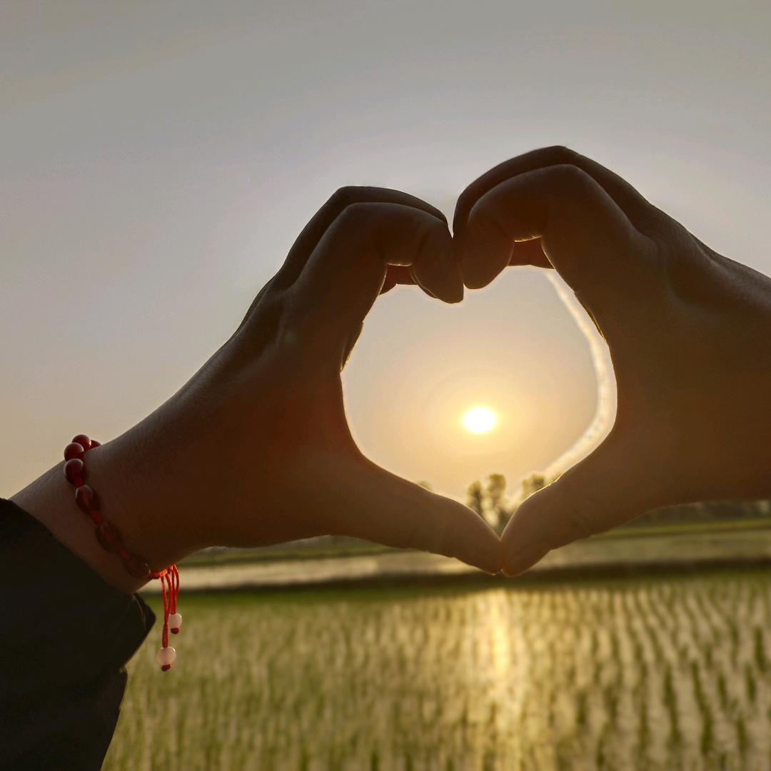🍀 吹吹人间发财风🌈 ☘️