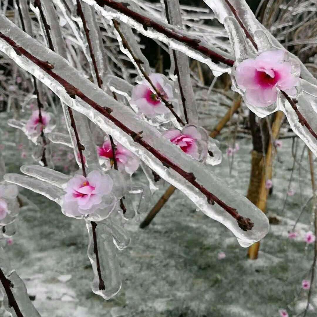 相识即是袁