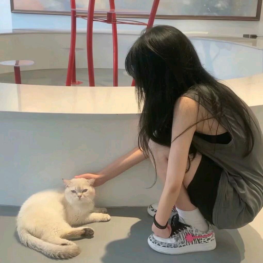 小鱼晚安
