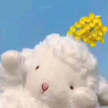 玫瑰茉莉桂花椰椰