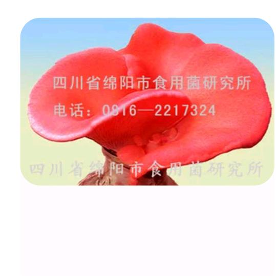 用户陕西巨峰洗衣盆厂石英石一体盆