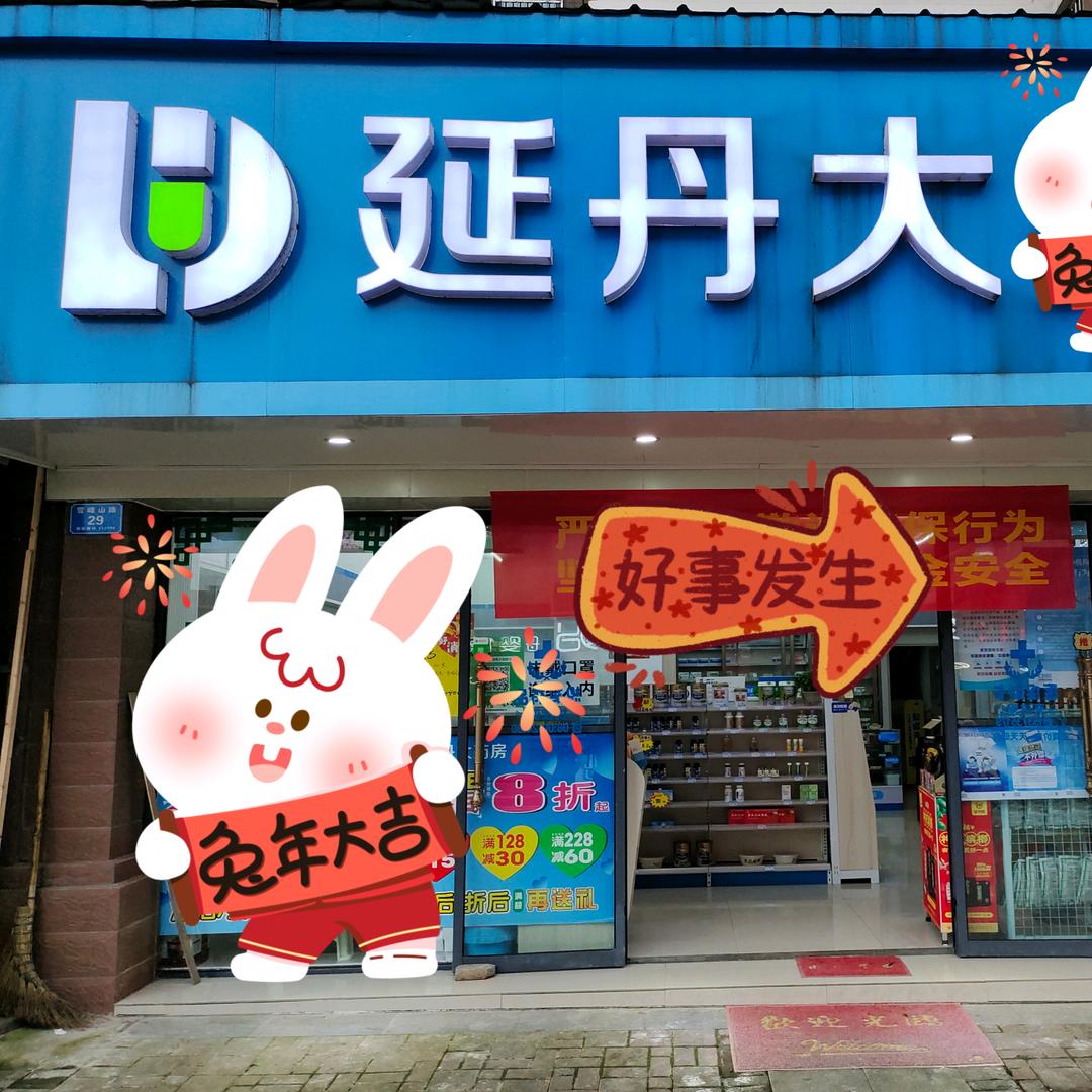 桃江大汉延丹养生