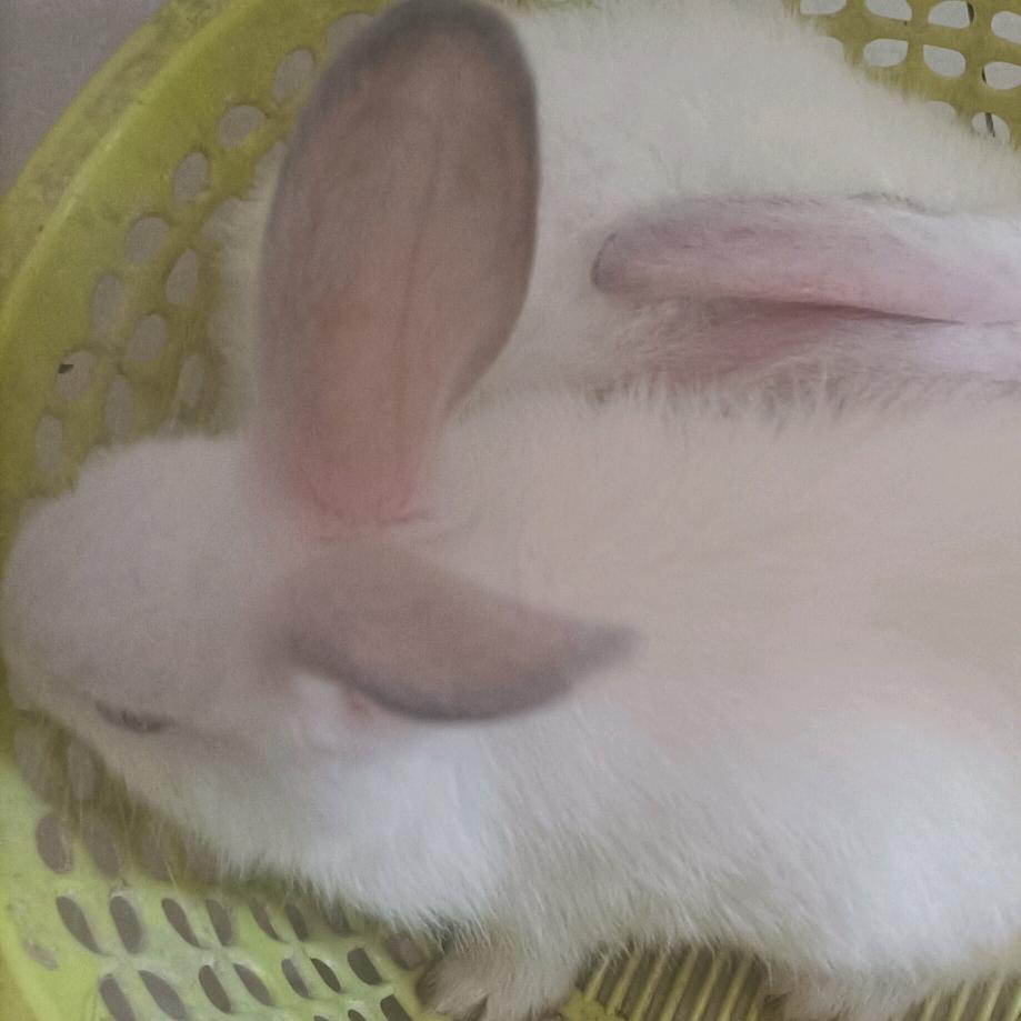好梦*^_^*