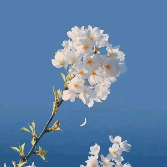 平凡之路💐