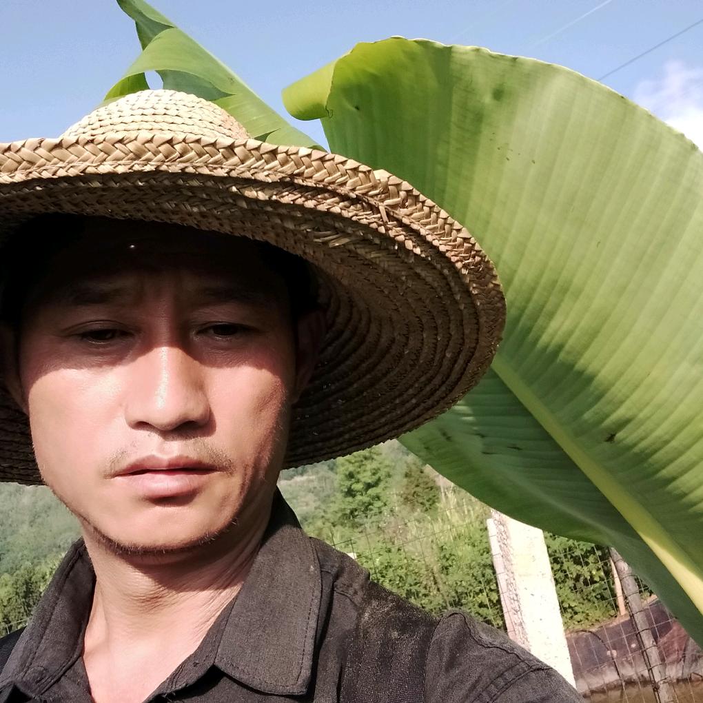 花子哥