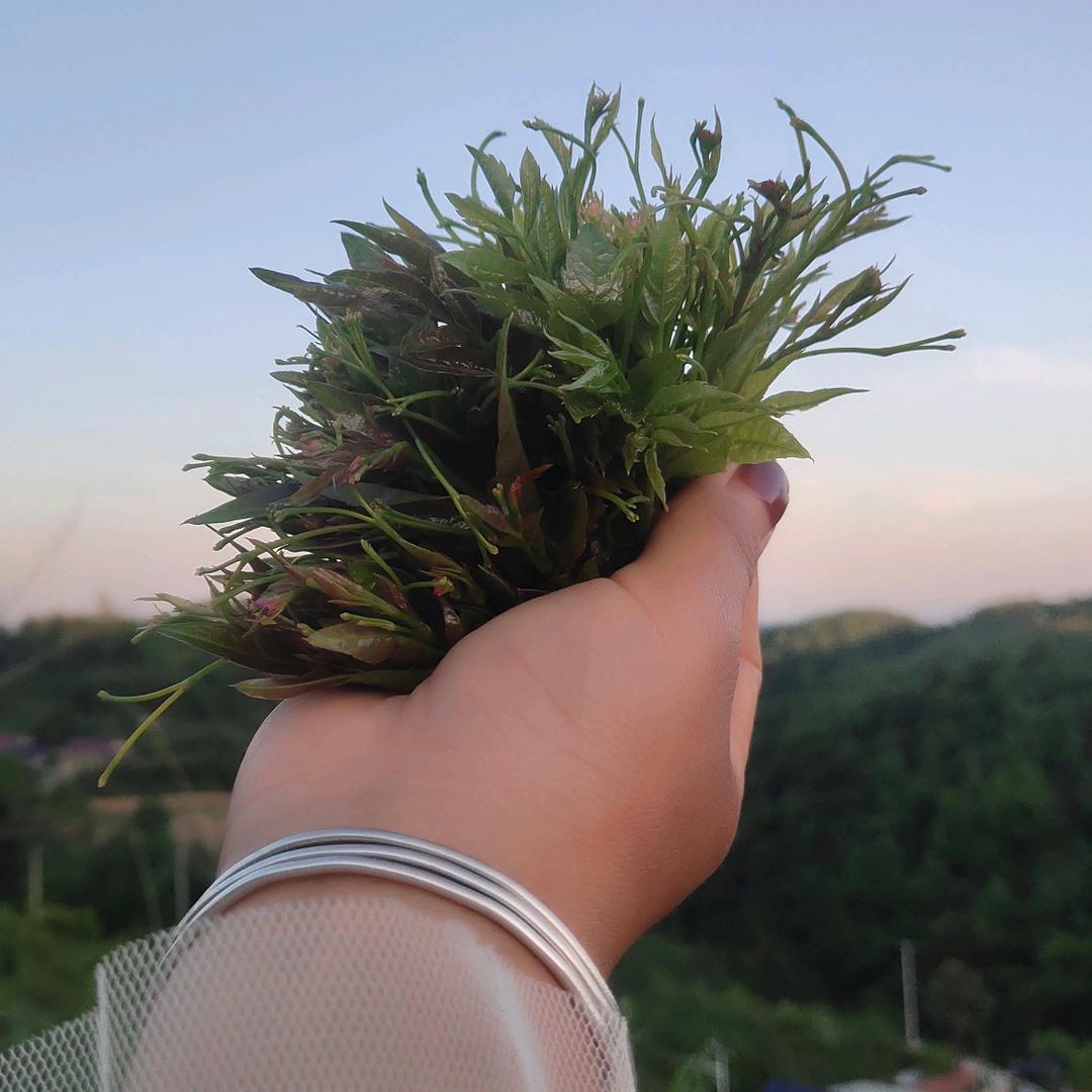 👣未来💞可期👣