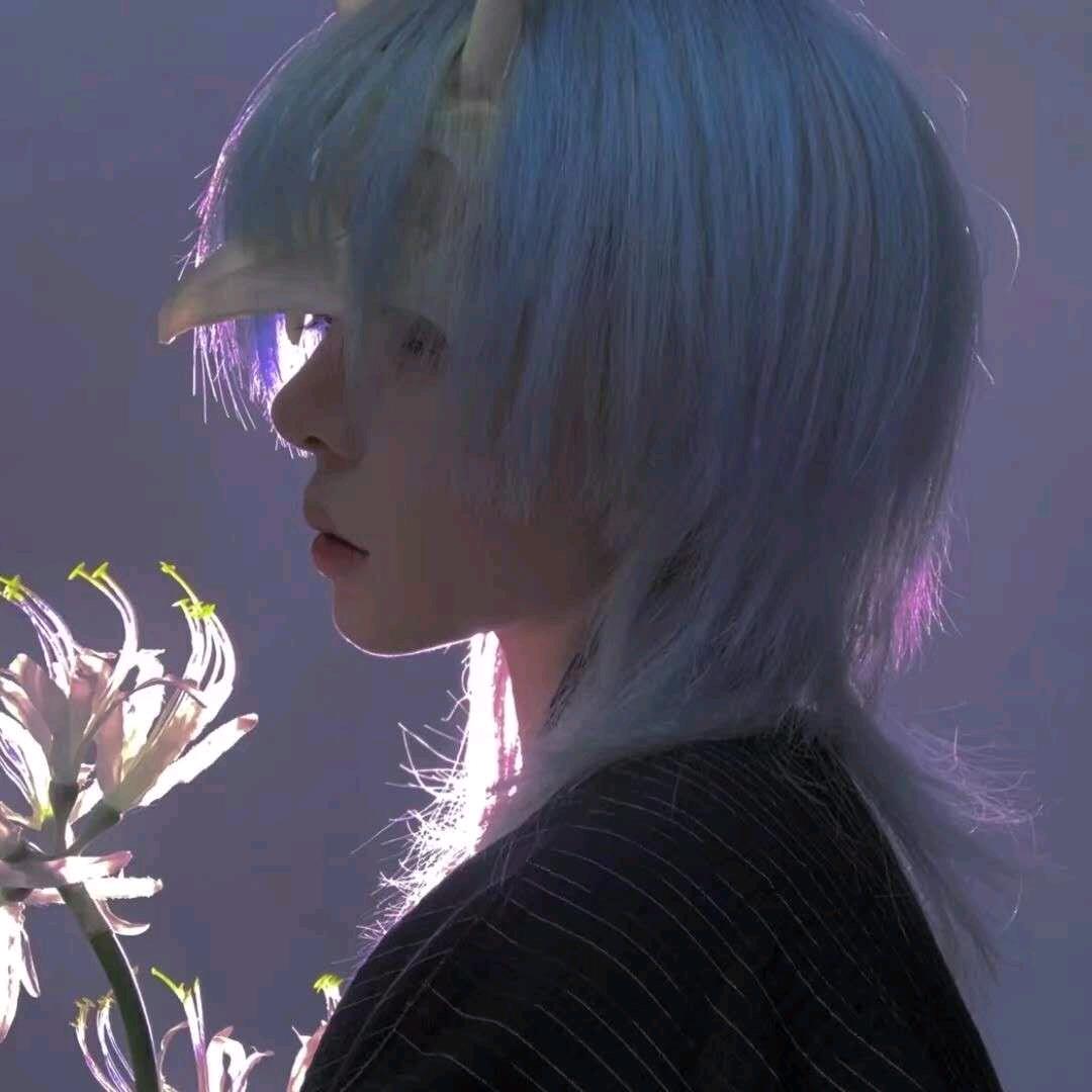 杰克迪