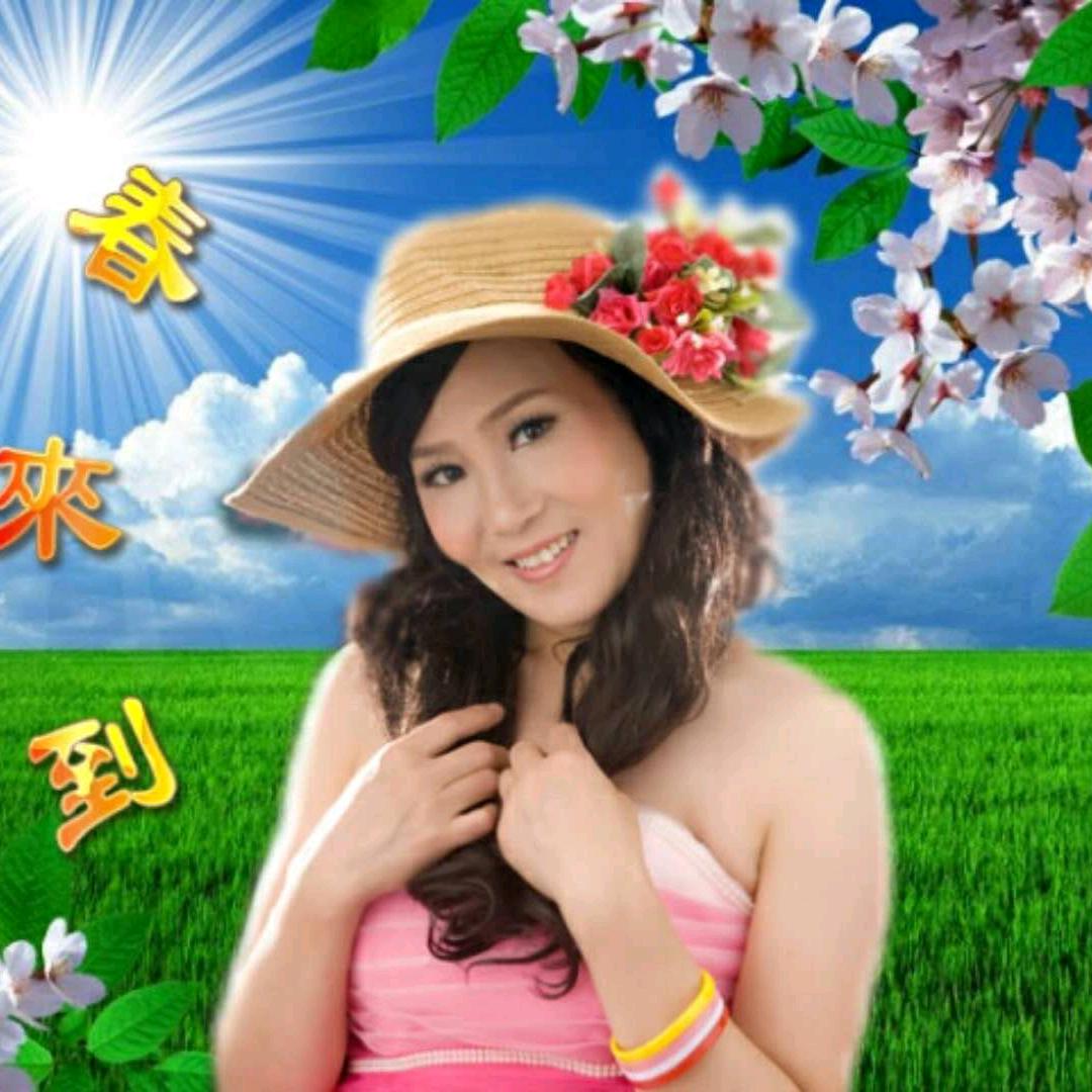 红梅好物推荐