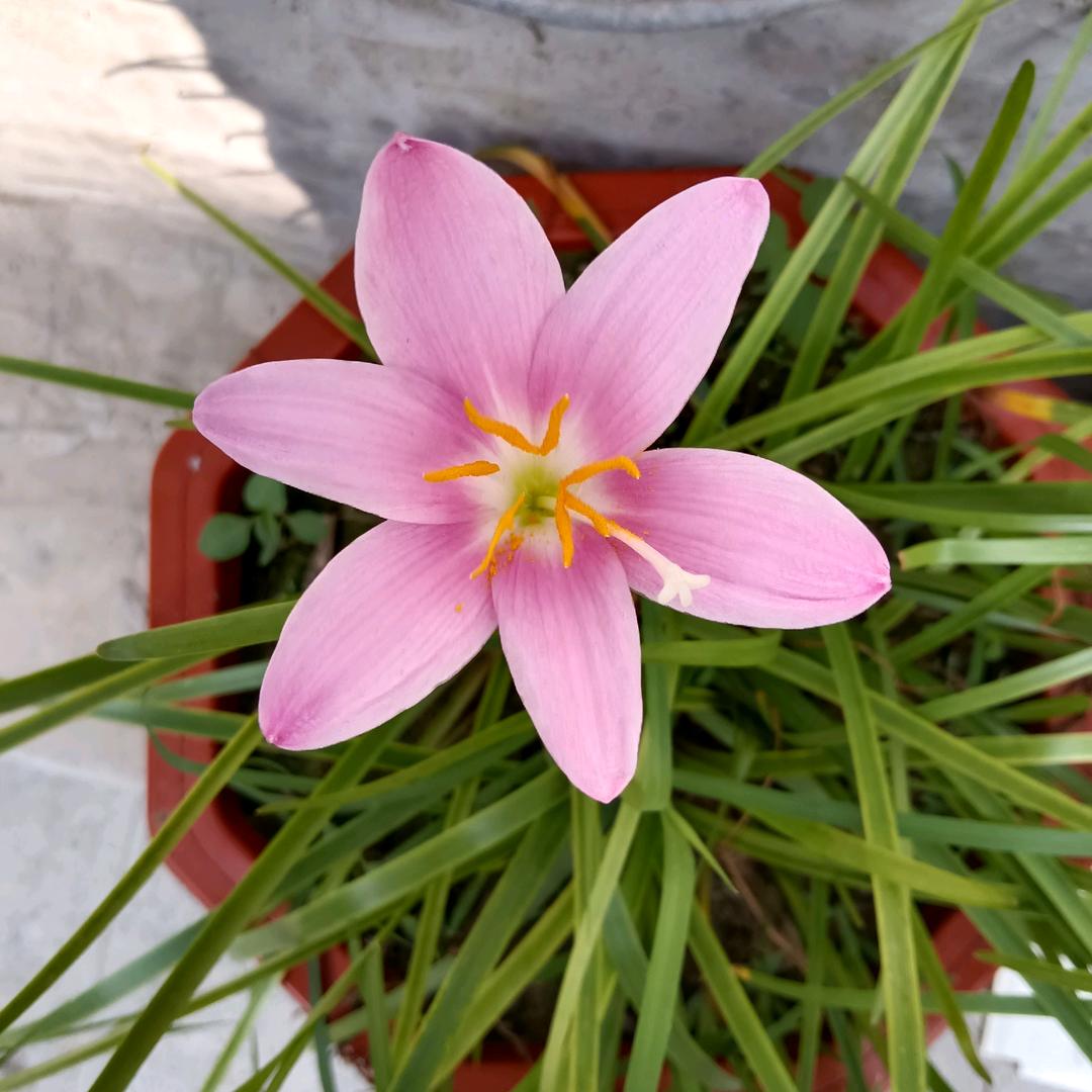 ꧁ღ余生安好💝꧂