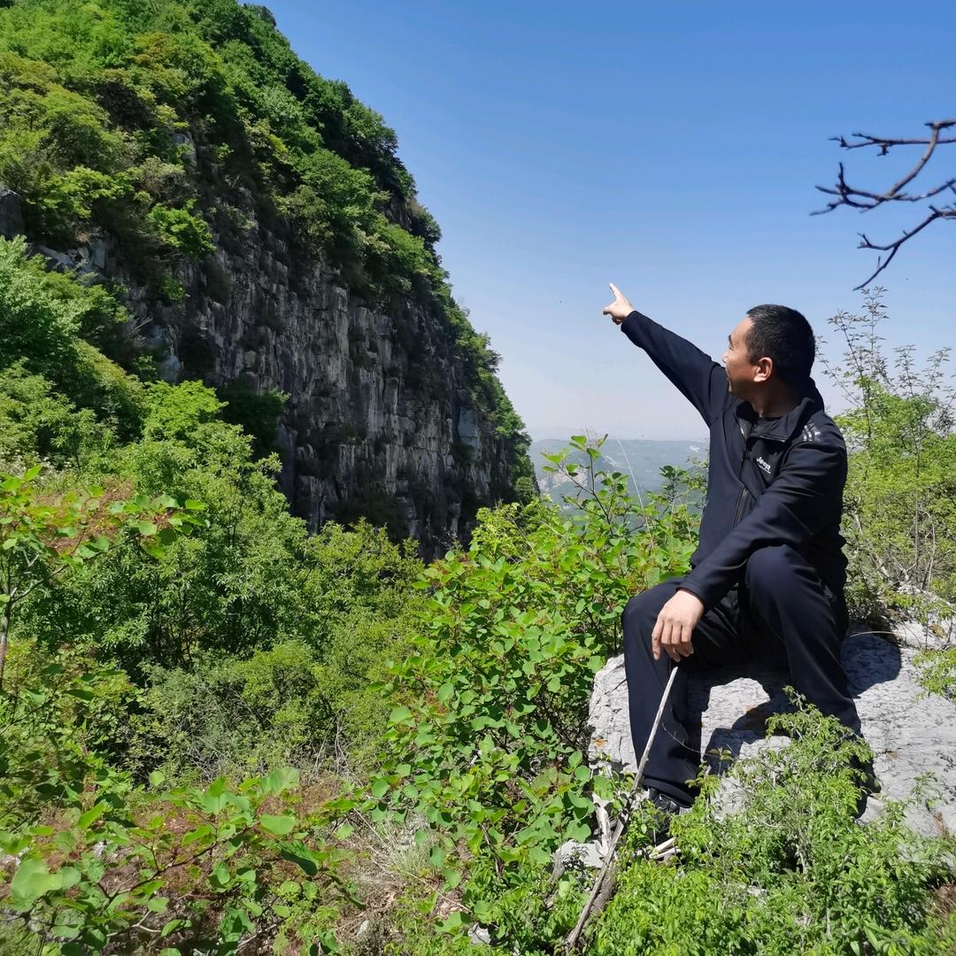 小黄蜂家政全国招商