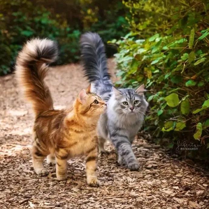 财神爷心尖上的人儿