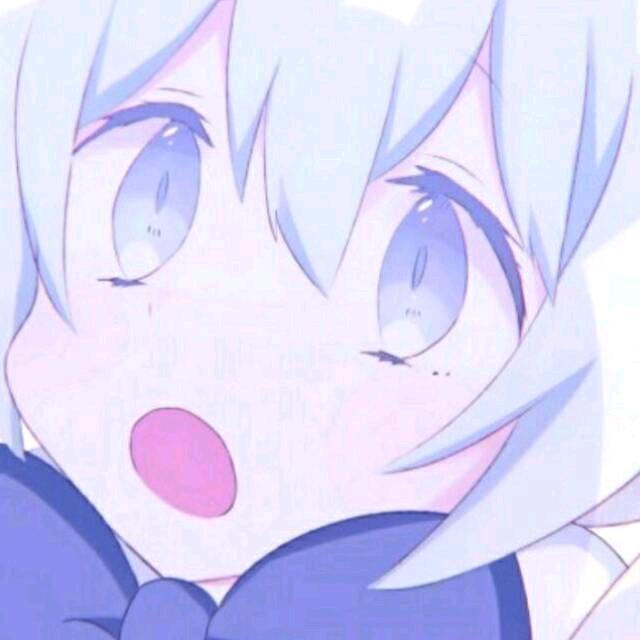 小白棕狗