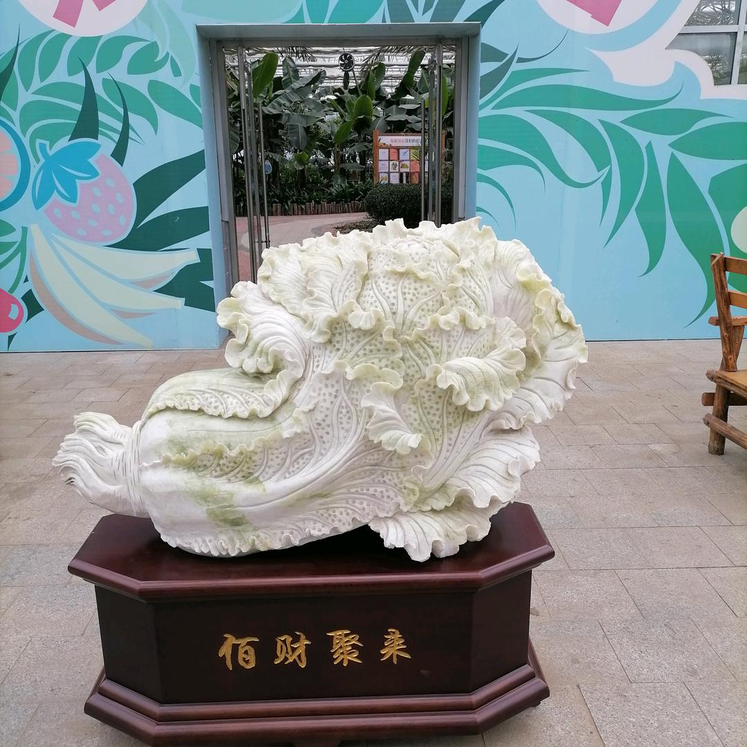 海洋扒蚬子团队