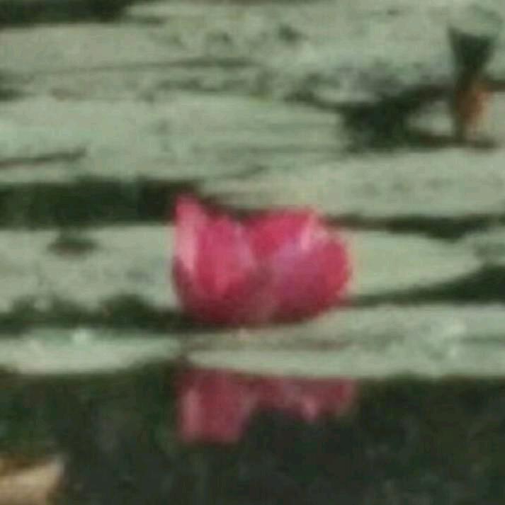 九月_