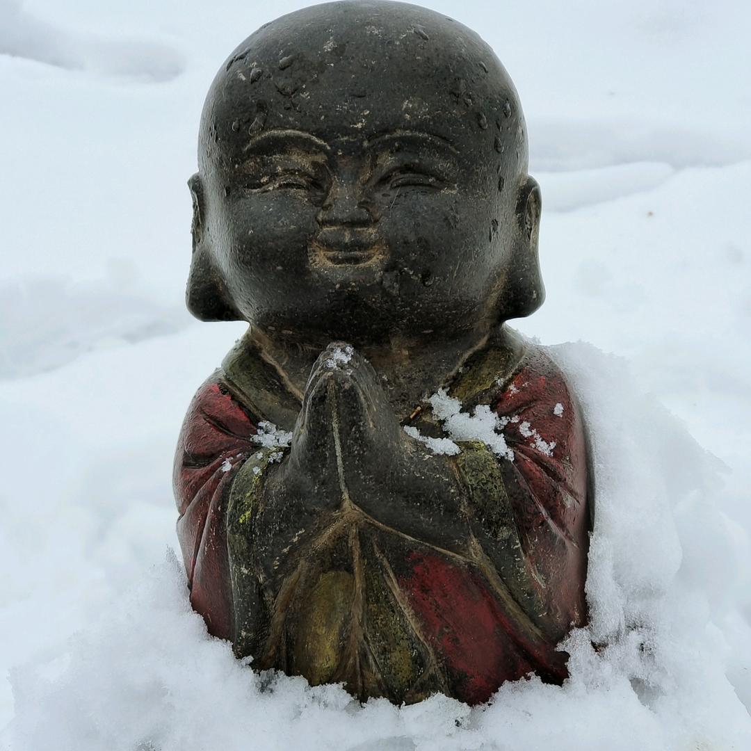 让她～笑颜如花