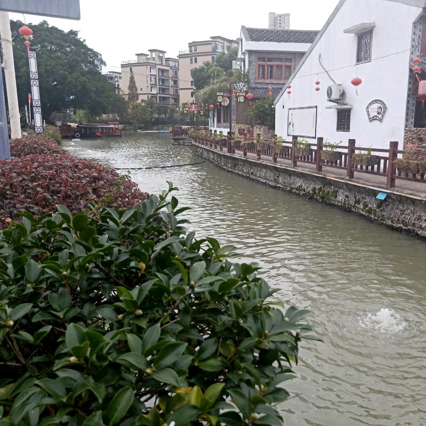 吕哥（内蒙特产）