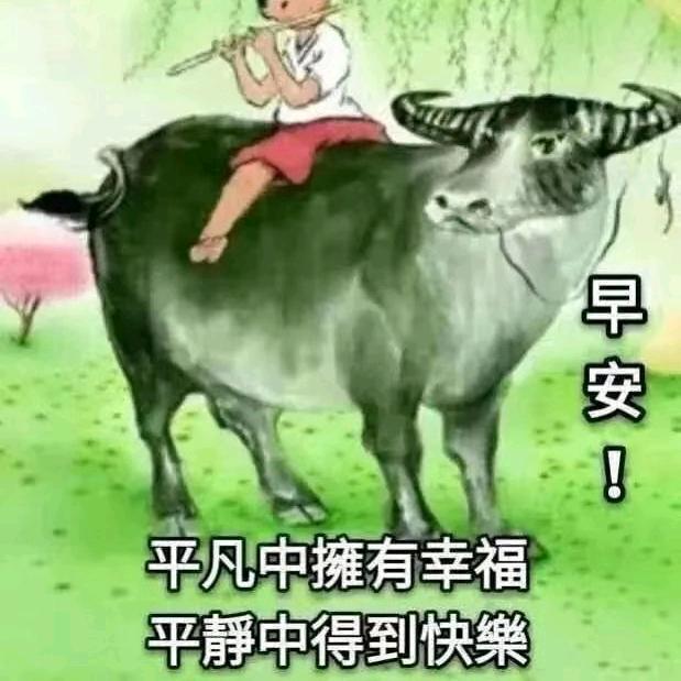 用户372921