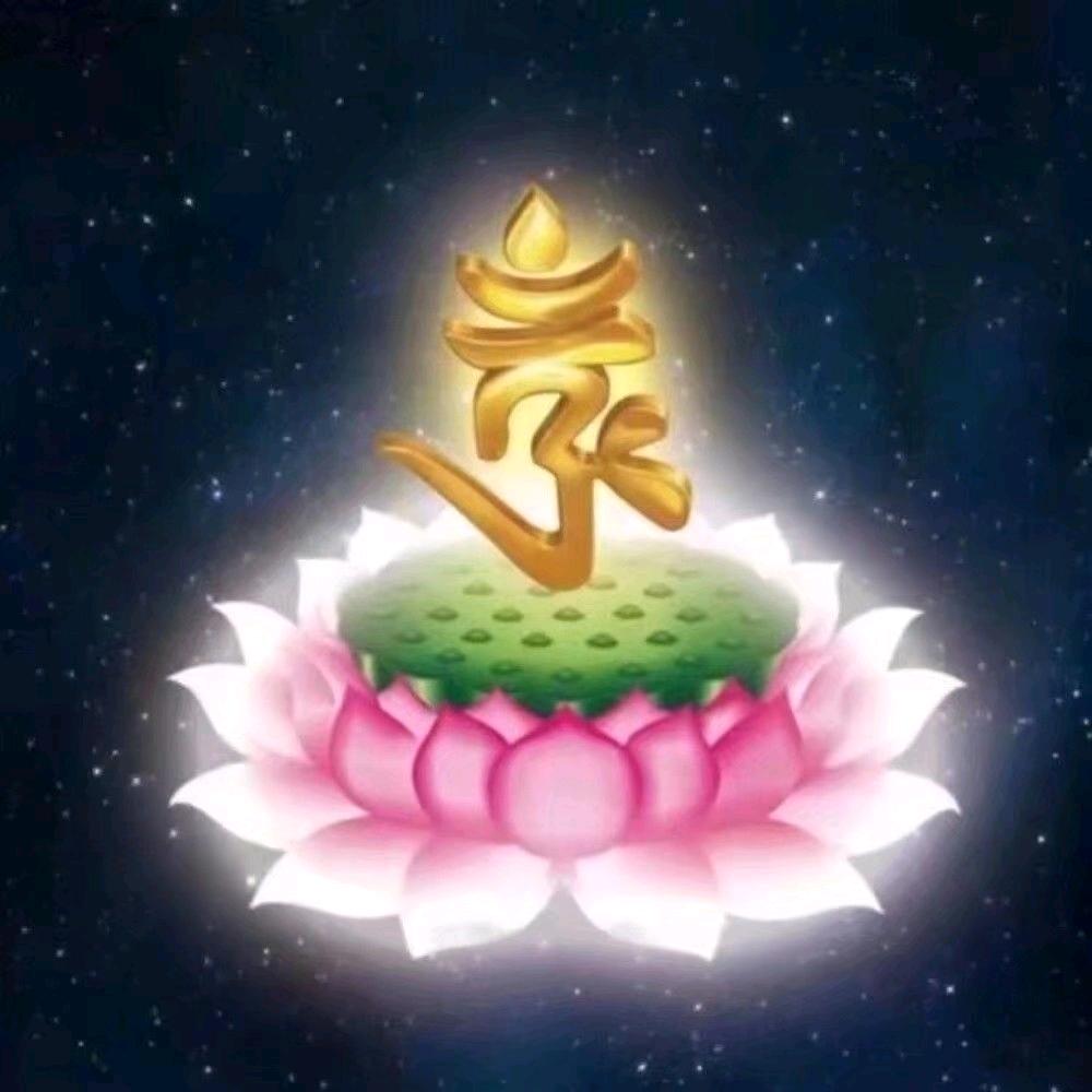 思路随缘