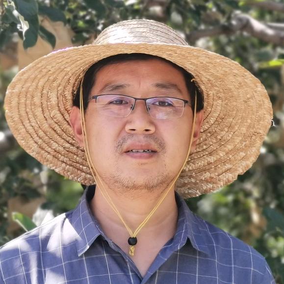 一画农业张文利