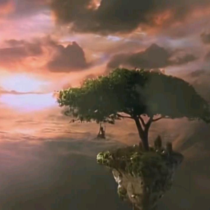 🌴🐻宝贝加油