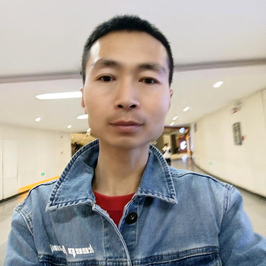 曳舞随风