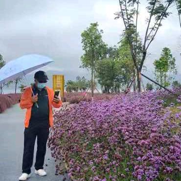 铭师通信工程有限公司