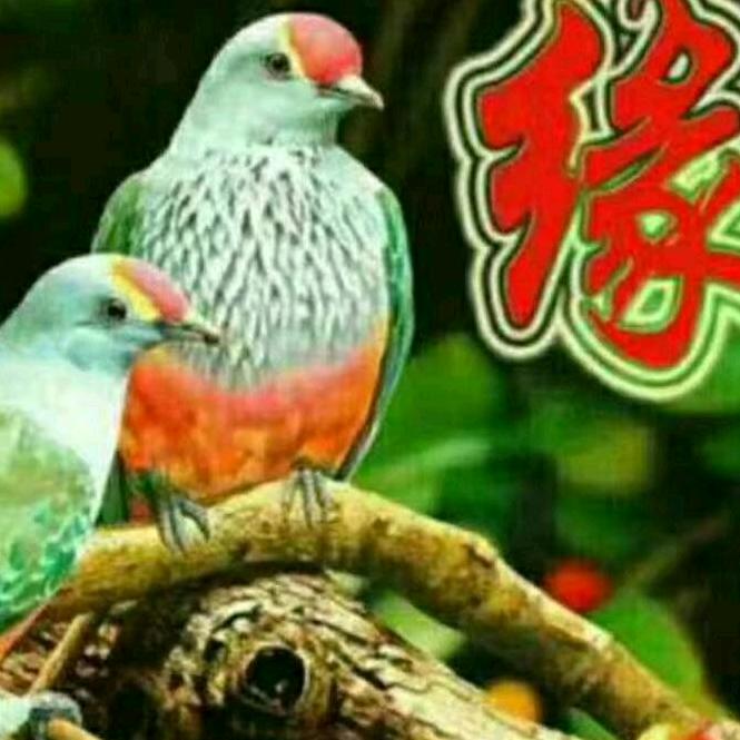ℒᎭℯ情💞深⁵₁²₃º₁₄