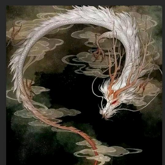 全屋定制安装辉仔（豫邓）