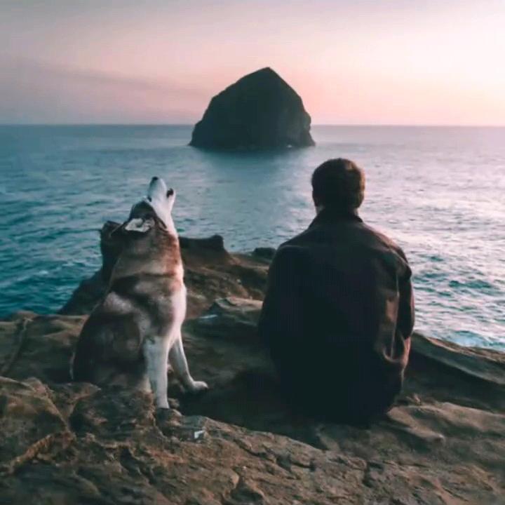 影子