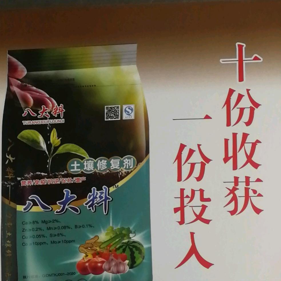 王者之屋