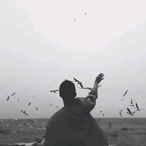 滥情一生