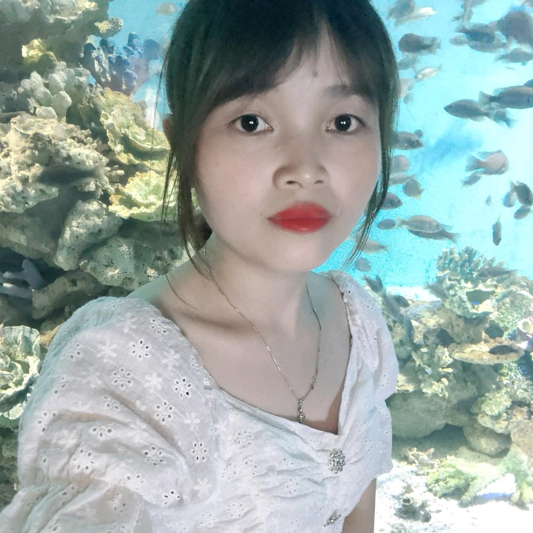 晓晓
