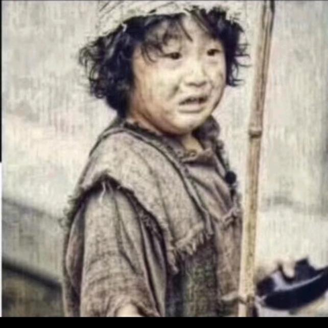 海龙